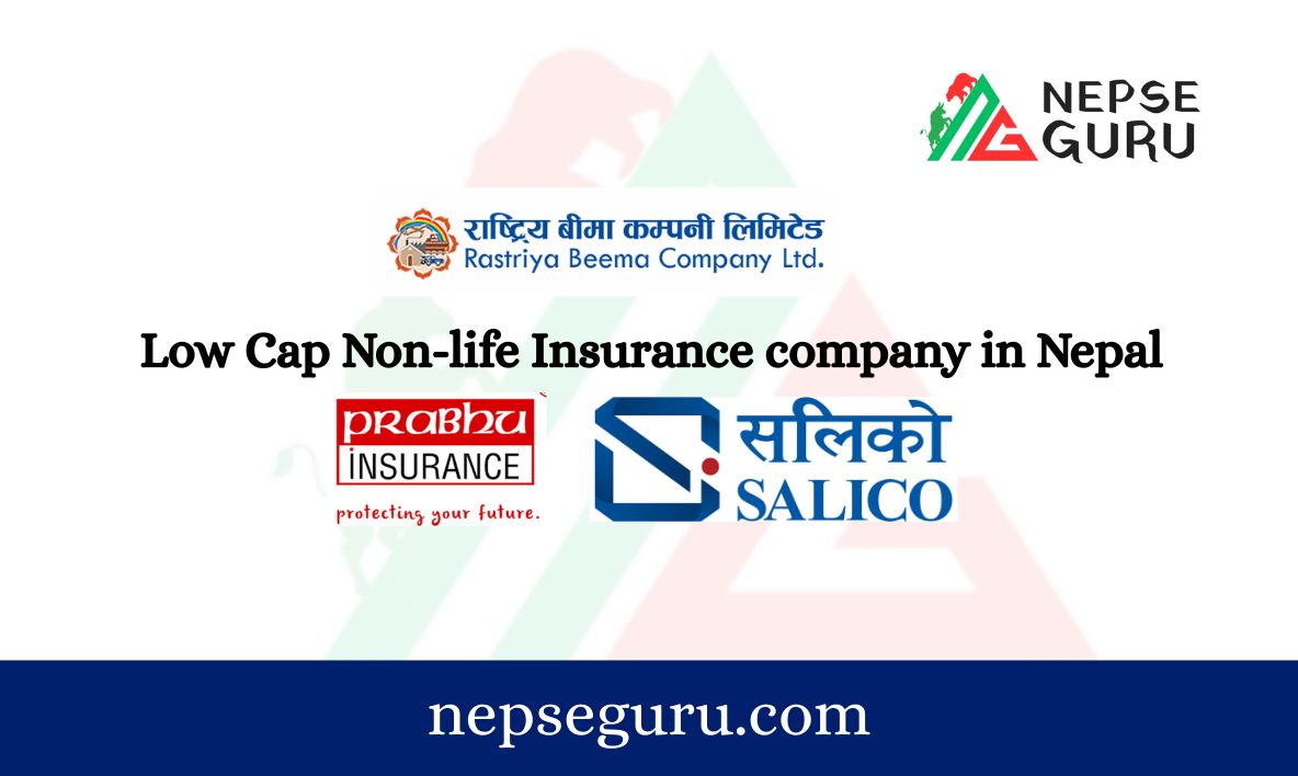 Low Cap Non-life Insurance company in Nepal
