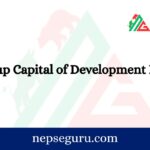 https://nepseguru.com/paid-up-capital-of-development-in-nepal/