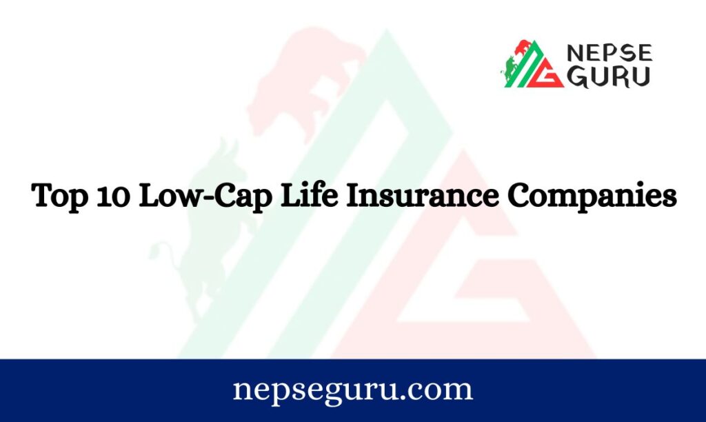 Top 10 Low Cap Life Insurance Companies in Nepal