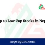 Top 10 Low Cap Stocks in Nepse